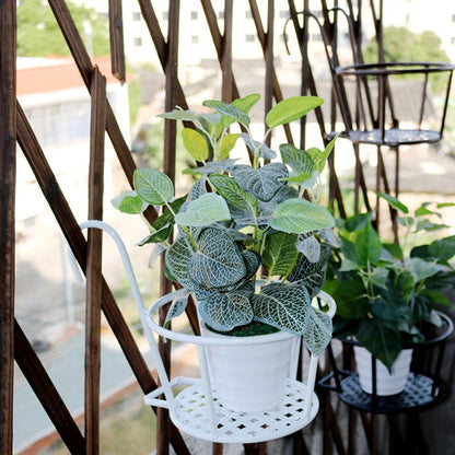 Hanging window basket - elegant plant hanger