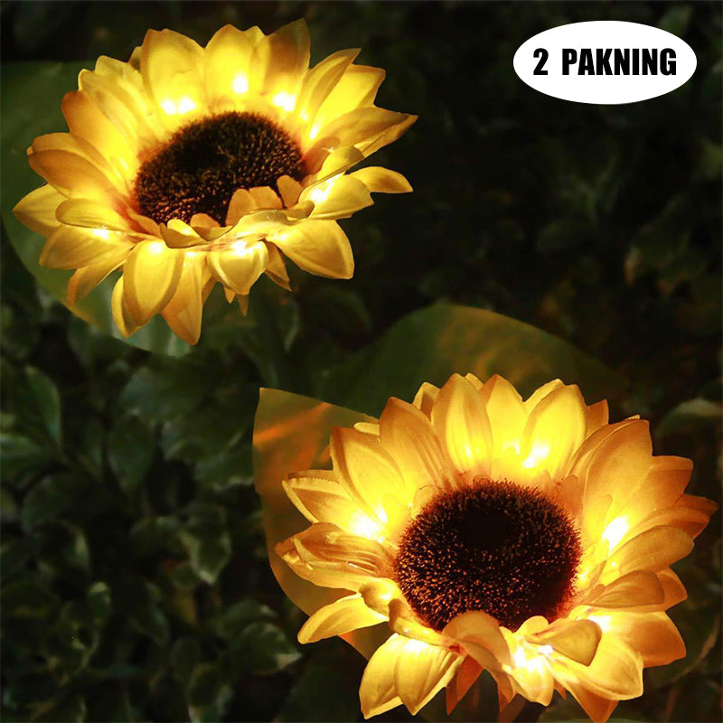 Sunflower sunlight for the garden - 2-pack