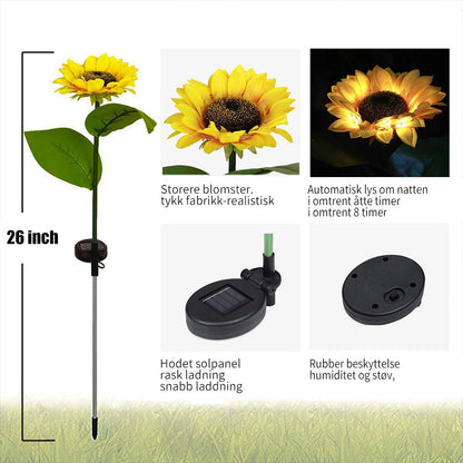 Sunflower sunlight for the garden - 2-pack