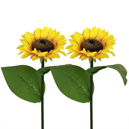 Sunflower sunlight for the garden - 2-pack