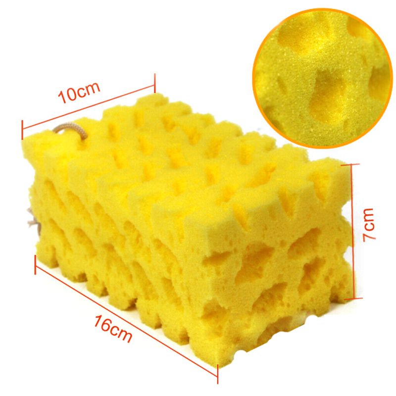Large absorbent sponge for efficient cleaning