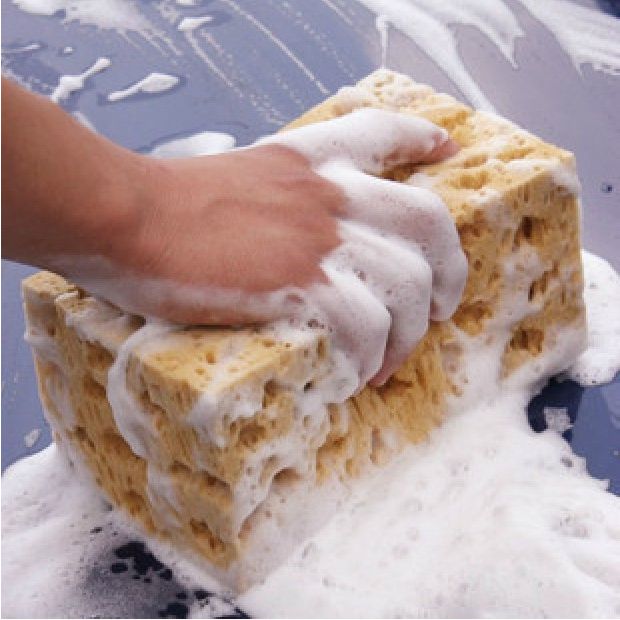 Large absorbent sponge for efficient cleaning