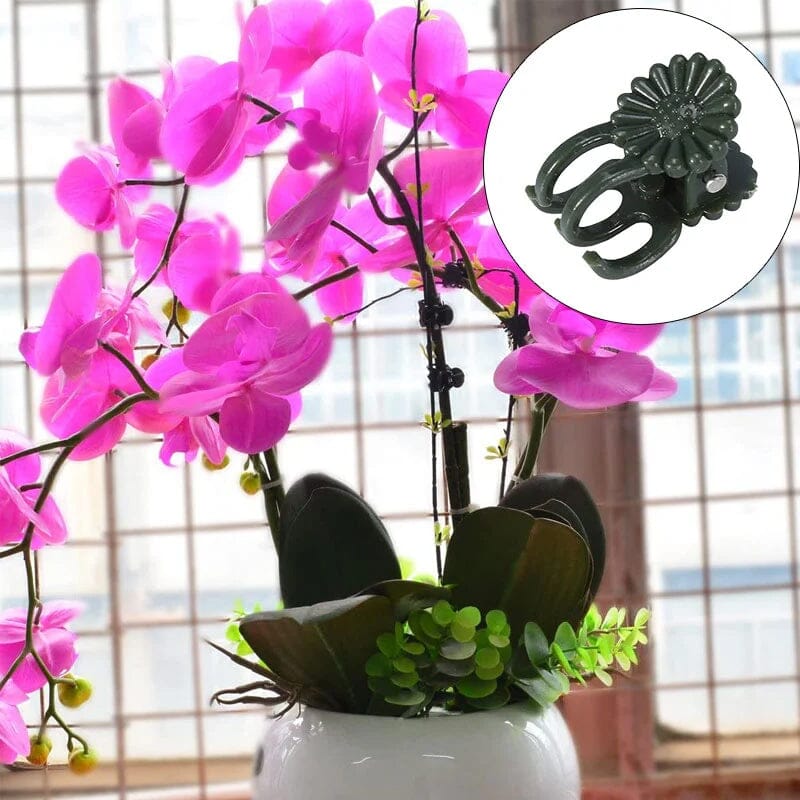 Support clip for orchids and vine flowers